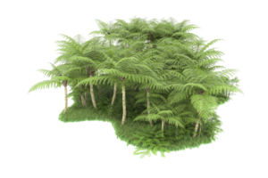 floresta realista isolada em fundo transparente. renderização 3D - ilustração png