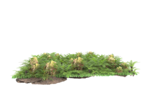 Realistic forest isolated on transparent background. 3d rendering - illustration png