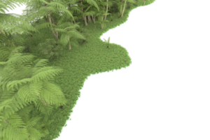 Realistic forest isolated on transparent background. 3d rendering - illustration png