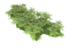 realistico foresta isolato su trasparente sfondo. 3d interpretazione - illustrazione png