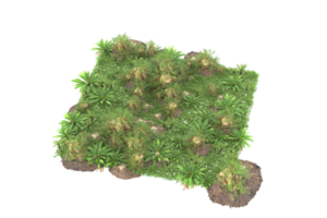 forêt réaliste isolée sur fond transparent. rendu 3d - illustration png