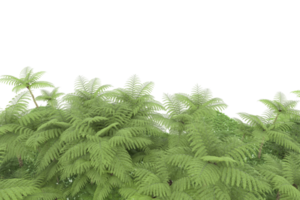 forêt réaliste isolée sur fond transparent. rendu 3d - illustration png