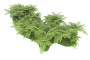 Realistic forest isolated on transparent background. 3d rendering - illustration png