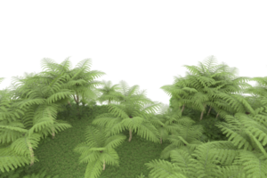 floresta realista isolada em fundo transparente. renderização 3D - ilustração png