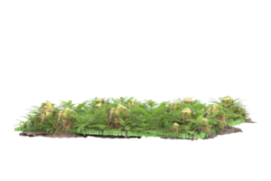 Realistic forest isolated on transparent background. 3d rendering - illustration png