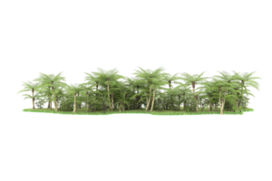 forêt réaliste isolée sur fond transparent. rendu 3d - illustration png