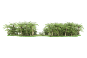 Realistic forest isolated on transparent background. 3d rendering - illustration png