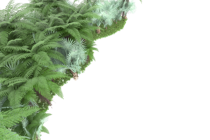 forêt réaliste isolée sur fond transparent. rendu 3d - illustration png