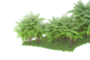 Realistic forest isolated on transparent background. 3d rendering - illustration png