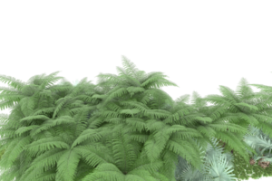 Realistic forest isolated on transparent background. 3d rendering - illustration png