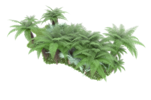 Realistic forest isolated on transparent background. 3d rendering - illustration png