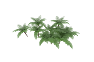 Realistic forest isolated on transparent background. 3d rendering - illustration png