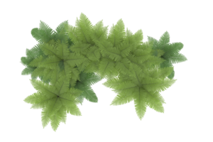 Realistic forest isolated on transparent background. 3d rendering - illustration png