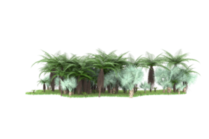 Realistic forest isolated on transparent background. 3d rendering - illustration png