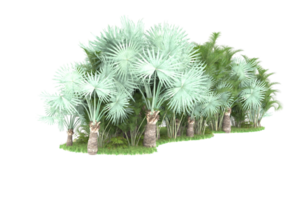 Realistic forest isolated on transparent background. 3d rendering - illustration png