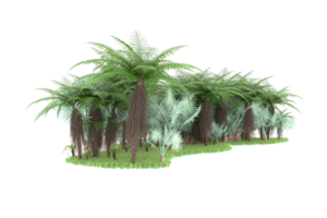 Realistic forest isolated on transparent background. 3d rendering - illustration png