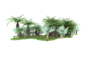 Realistic forest isolated on transparent background. 3d rendering - illustration png