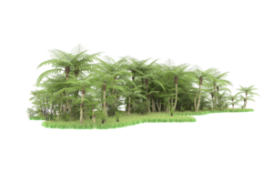 forêt réaliste isolée sur fond transparent. rendu 3d - illustration png