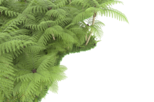 forêt réaliste isolée sur fond transparent. rendu 3d - illustration png