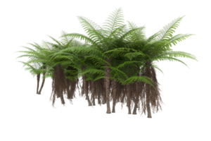 Realistic forest isolated on transparent background. 3d rendering - illustration png