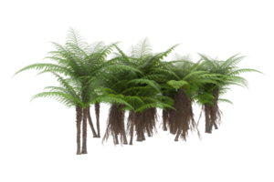 Realistic forest isolated on transparent background. 3d rendering - illustration png