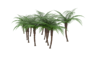 Realistic forest isolated on transparent background. 3d rendering - illustration png