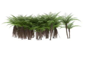 Realistic forest isolated on transparent background. 3d rendering - illustration png