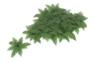 forêt réaliste isolée sur fond transparent. rendu 3d - illustration png