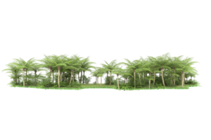 Realistic forest isolated on transparent background. 3d rendering - illustration png