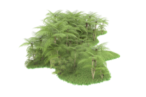 realistico foresta isolato su trasparente sfondo. 3d interpretazione - illustrazione png