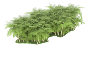 Realistic forest isolated on transparent background. 3d rendering - illustration png