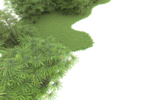 floresta realista isolada em fundo transparente. renderização 3D - ilustração png