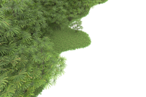 Realistic forest isolated on transparent background. 3d rendering - illustration png