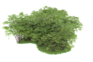 Realistic forest isolated on transparent background. 3d rendering - illustration png