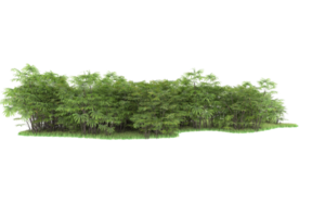 Realistic forest isolated on transparent background. 3d rendering - illustration png