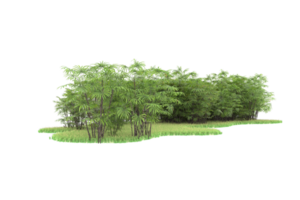Realistic forest isolated on transparent background. 3d rendering - illustration png