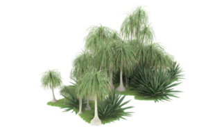 floresta realista isolada em fundo transparente. renderização 3D - ilustração png