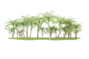 forêt réaliste isolée sur fond transparent. rendu 3d - illustration png