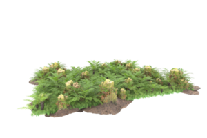 Realistic forest isolated on transparent background. 3d rendering - illustration png