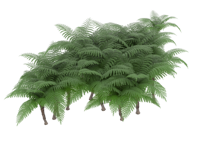 Realistic forest isolated on transparent background. 3d rendering - illustration png