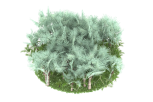 Realistic forest isolated on transparent background. 3d rendering - illustration png