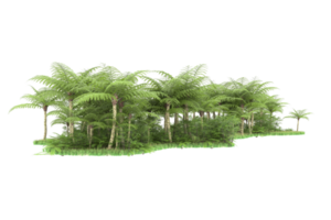 Realistic forest isolated on transparent background. 3d rendering - illustration png