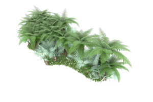 Realistic forest isolated on transparent background. 3d rendering - illustration png