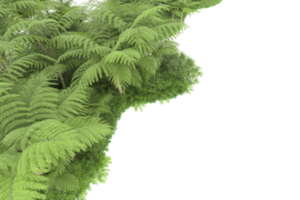 floresta realista isolada em fundo transparente. renderização 3D - ilustração png