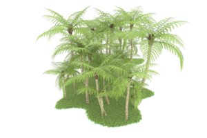 realistischer wald lokalisiert auf transparentem hintergrund. 3D-Rendering - Abbildung png