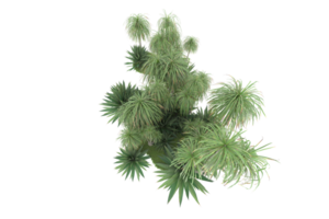 forêt réaliste isolée sur fond transparent. rendu 3d - illustration png