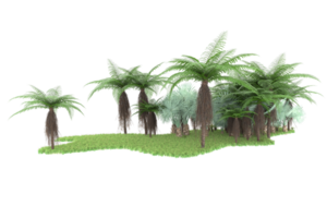 Realistic forest isolated on transparent background. 3d rendering - illustration png
