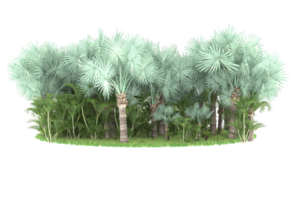 Realistic forest isolated on transparent background. 3d rendering - illustration png