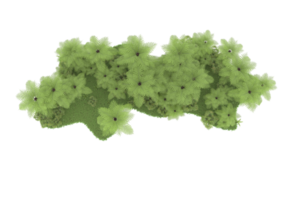 Realistic forest isolated on transparent background. 3d rendering - illustration png