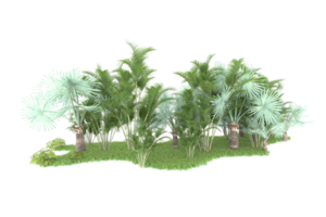 Realistic forest isolated on transparent background. 3d rendering - illustration png